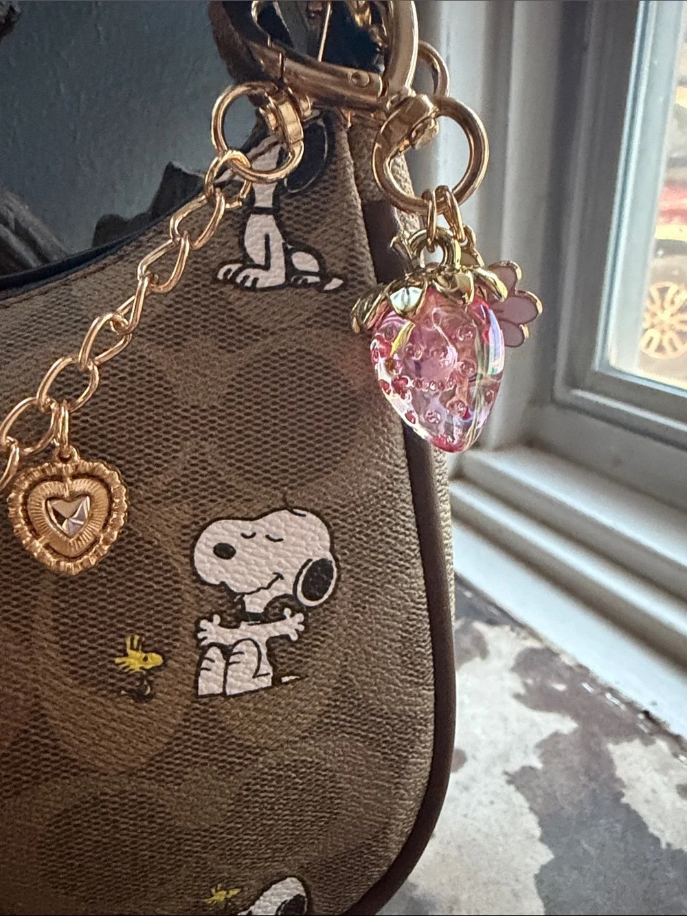Coach shoulder bag